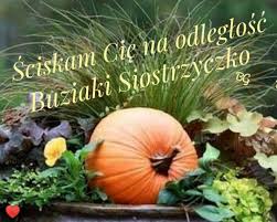 We did not find results for: 50 Dzien Siostry Ideas In 2021 Siostry Zyczenia Urodzinowe Dla Siostry Cytaty