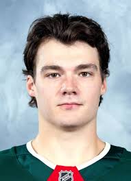 Player photos for the 2020-21 Fargo Force at hockeydb.com