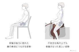 KURA SEAT | 【公式】&MEDICALオンラインストア