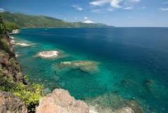 Image result