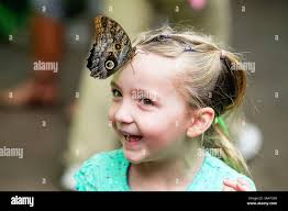 San diego safari park butterfly hi-res stock photography and images