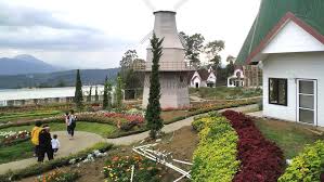 Review Taman Bunga Celosia Bandungan Wajib Ke Sini