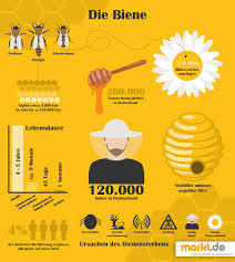 Pin Auf Markt De Infografiken