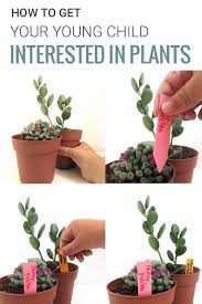How To Get Young Children Interested In Plants Plants Gardening For Kids Plant Projects