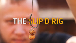 THE SLIP D RIG! Get better hooksets with this CARP RIG! Tacticarp TV