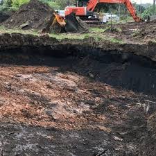 It's not known whether the entire province will enter stage 3 at the same time or if the government plans to phase it in across ontario over days or weeks. Phase Iii Environmental Site Assessment Phase 3 Esa Toronto All Of Ontario Anderson Environmental Toronto Ontario