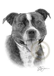 Gary Tymon S Blog Bull Terrier Tattoo Dog Tattoos Dog Drawing