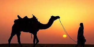 Percakapan bahasa arab tentang ta'aruf (perkenalan) dan artinya. Ada 6000 Kata Arab Untuk Menyebut Unta Inilah Com Mozaik