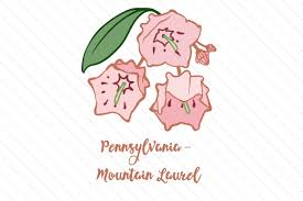 Maybe you would like to learn more about one of these? State Flower Pennsylvania Mountain Laurel Svg Cut File By Creative Fabrica Crafts Creative Fabrica
