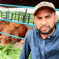 80+ "Virgilio Castro" profiles