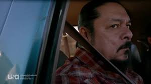 Queen Of The South: El Hombre Pajaro