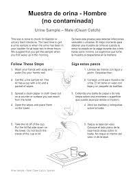 Wipe from the front to the back. Https Www Healthinfotranslations Org Pdfdocs Urinesamplemale Sp Pdf