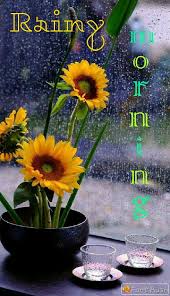 Pin By Sathya On Morning Rainy Morning I Love Rain Good Morning Good Night