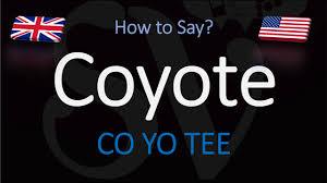 How To Pronounce Coyote English American Pronunciation Youtube