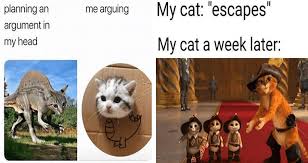 Check spelling or type a new query. I Can Has Cheezburger Caturday Funny Animals Online Cheezburger