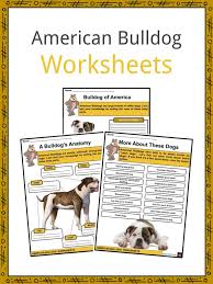 Maybe you would like to learn more about one of these? American Bulldog Facts Worksheets History For Kids