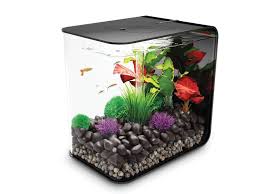 Amazon Com Flow Aquarium Tank Size 15 H X 15 W X 15 D Color Black Biorb Fish Tank Acrylic Aquarium Aquarium Kit