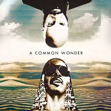 Culture Stevie Wonder Wonder Stevie