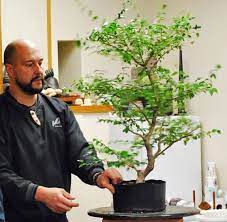 Feel free to ask any questions for more information or general click here to be taken to the bonsai society / club page. Susquehanna Bonsai Club The Premiere Bonsai Club Of South Central Pennsylvania Page 2
