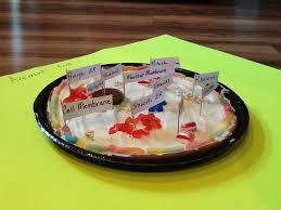 We did not find results for: Cookie Cake Plant Cell Shefalitayal