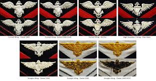 In the united states navy, officers have various ranks. Enlisted Aviators Naval Aviation Pilots And Insignia The Veteran S Collection