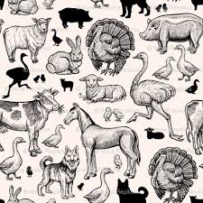 Farm Animals Hand Drawn Outline Inked S Vintage Farm Animal Sketches Animals
