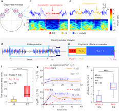 Alpha rhythm collapse predicts iso-electric suppressions during anesthesia  | Communications Biology