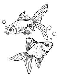 Goldfish coloring pages are a fun way for kids of all ages to develop creativity, focus, motor skills and color recognition. Goldfish Coloring Page Animal Coloring Pages Fish Drawings Fish Art