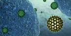 Behandlung der Hepatitis C - Deutsches Hepatitis C Forum e.V