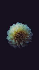 Discover this awesome collection of dark iphone wallpapers. 750 Iphone Dark Pictures Download Free Images On Unsplash
