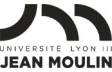 La maîtrise d'ouvrage a été confiée à l'institut international pour la francophonie (2if) de l'université jean moulin lyon 3. Universite Jean Moulin Lyon 3 Institut Des Ameriques
