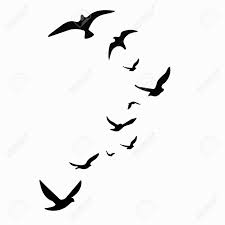 Vector silhouette bird prey osprey flight stock vector hd (royalty #2080753. Silhouette Of A Flock Of Birds Black Contours Of Flying Birds Royalty Free Cliparts Vectors And Stock Illustration Image 83302348