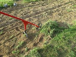 Epingle Par Guillaume David Sur Desherbage Desherbage Jardin Potager Et Jardins