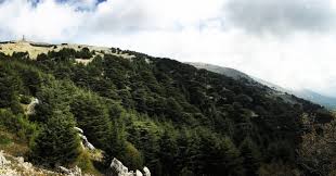 A lots of more more and more amazing videos will be. Nature And Culture In Lebanon Future Law