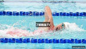 了解鲍鱼TV - 鲍鱼TV H5—移动端专享，高清极速播放体验