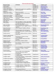 Image result for Siphonochilus brachystemon