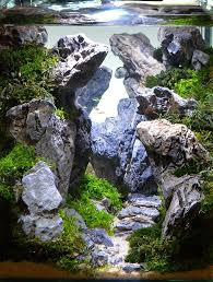 Freshwater Aqua Scape Aqua Freshwater Scape In 2020 Aquascape Design Aquascape Aquarium Landscape