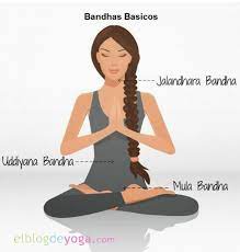 Commonly, we hear about only four types of yoga bandhas but, there are six types of bandhas in hatha yoga, 2 minor, 3 major & 1 maha bandha. Que Son Los Bandhas Y Como Se Practican El Blog De Yoga