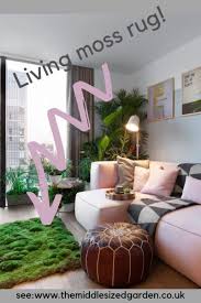 When it's so hot but you can use your houseplant as a fan! How To Decorate With Indoor Plants Latest Trends The Middle Sized Garden Gardening Blog