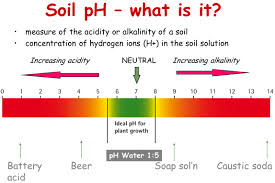 What Is My Optimum Soil Ph