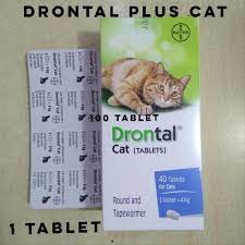 Kadar dan sukatan ubat cacing untuk kucing. Bayer Drontal Cat Tablet Ubat Cacing Kucing 1 Tablet Lazada