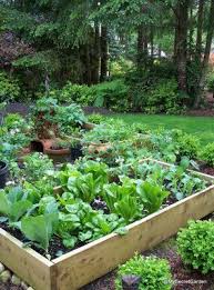 Walmart.com has been visited by 1m+ users in the past month Inspiration For The Garden At The New House It S Late To Start A Cool Weather Garden But It Has Been So Small Vegetable Gardens Small Gardens Veggie Garden