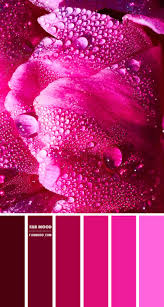 Commercial use is not allowed. Dark Pink And Magenta Colour Palette 85 1 Fab Mood Wedding Colours Wedding Themes Wedding Colour Palettes
