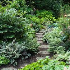 Pin By Lunara Fernwyn On Gardening Ponds Pathways Rockwork Cement Shade Garden Pathway Landscaping Shade Plants