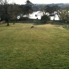 Check spelling or type a new query. Photos At Banfield Park Victoria West 58 Visitors