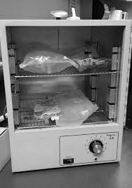 Large hinged door heat lamp incubator hookup instructions (2016 models). Critical Care Of Pet Birds Veterinary Clinics Exotic Animal Practice