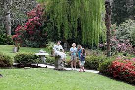 Children Play By The Weeping Willow In The Japanese Garden At Powerscourt Gardens Ireland Www Powerscourt Ie Japanesega Japanese Garden Weeping Willow Garden