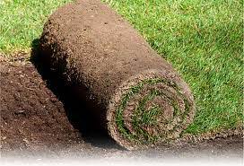 $125 (minneapolis) pic hide this posting restore restore this posting. Sodding Parkway Lawn Services Lawn Care In Minneapolis Mn