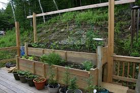 Growing A Vegetable Garden On Your Deck Is Exactly The Same As Growing One In A Plot In Vegetable Garden Planters Growing Vegetables Raised Vegetable Gardens