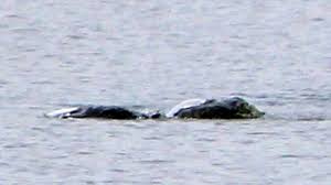 Unseen picture emerges of 'Loch Ness monster' | UK News | Sky News